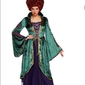 Plus size Winifred Sanderson Costume